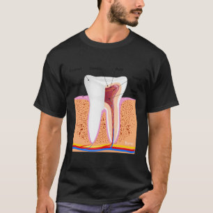 Camiseta Anatomía Dental Para El Ensamblado Dentina Normal