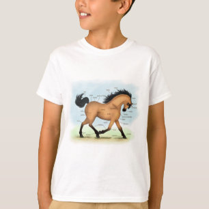 Camiseta Anatomía equina educativa de la piel de la piel de