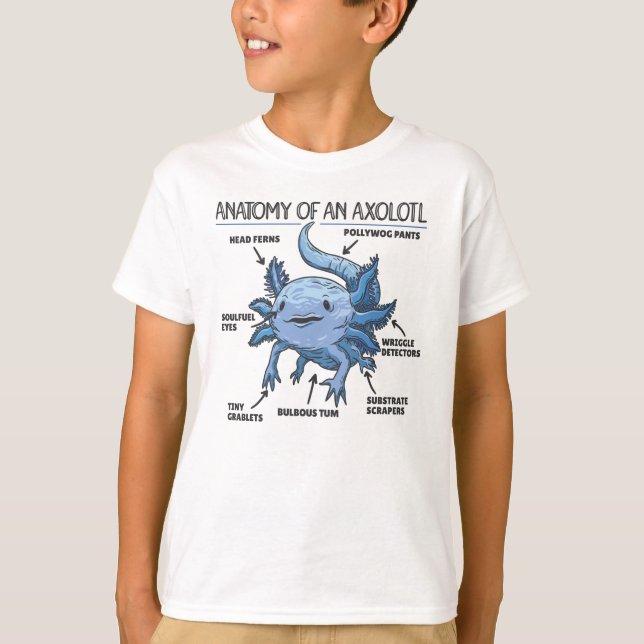 Camiseta Anatomía Explicativa Axolotl De Un Axolotl (Anverso)