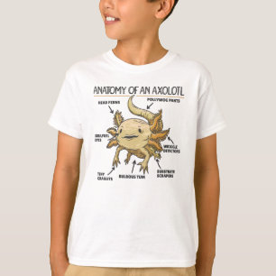 Camiseta Anatomía Explicativa Axolotl De Un Axolotl