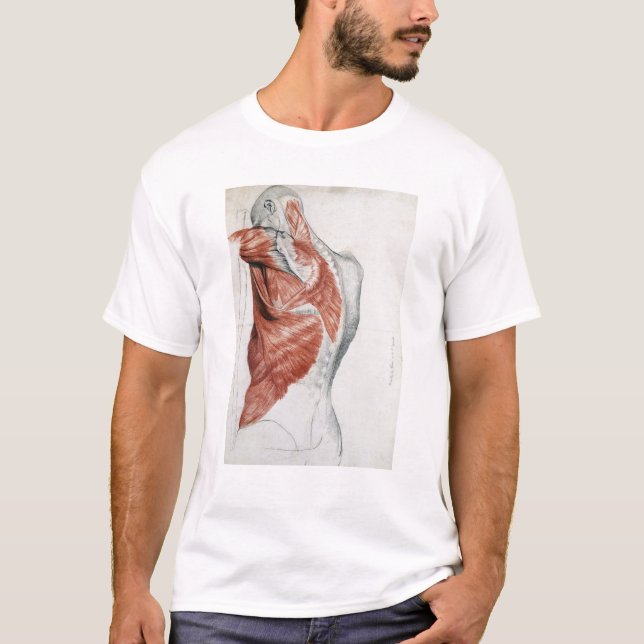 Camiseta Anatomía humana; Músculos del torso y del hombro (Anverso)