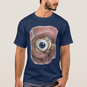 Camiseta Anatomía humana vintage, ojo con músculos