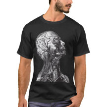 Anatomía médica Cabeza Cuello Vintage