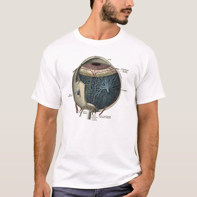 Camiseta Anatomía ocular humana 1902 Vintage (Anverso)