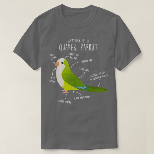 Camiseta Anatomía Quaker verde (Diseño del anverso)