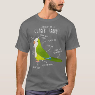 Camiseta Anatomía Quaker verde