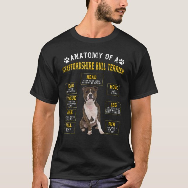Camiseta Anatomía Staffordshire Bull Terrier Para Mujeres H (Anverso)