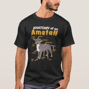 Camiseta anatomía y un norteamericano Staffordshire Terrier
