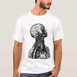 Camiseta anatómica histórica del dibujo del tors