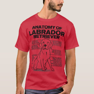 Camiseta Anatomy of a Labrador Retriever Funny Dog owner gi