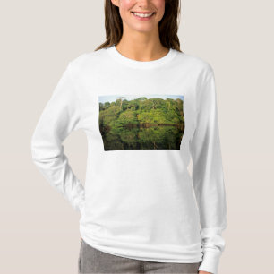 Camiseta Anavilhanas, Amazonas, Brasil. Río de selva tropic