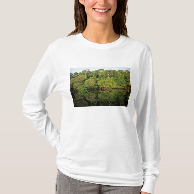 Camiseta Anavilhanas, Amazonas, Brasil. Río de selva tropic (Anverso)