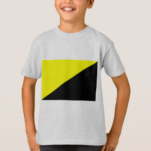 Camiseta Ancap, bandera política de Colombia