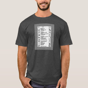 Camiseta Ancinista