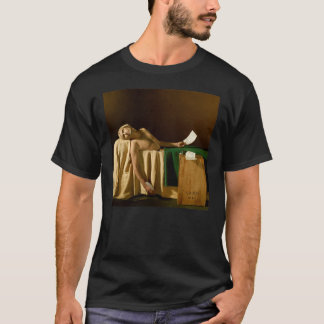 Camiseta Andrew Bird  My Finest Work Yet Gift For Fans For 