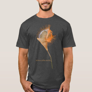 Camiseta Anemona de la flytrampa venosa Actinoscyphia aurel