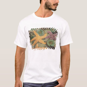 Camiseta Anémonas verdes gigantes y estrellas de mar ocre
