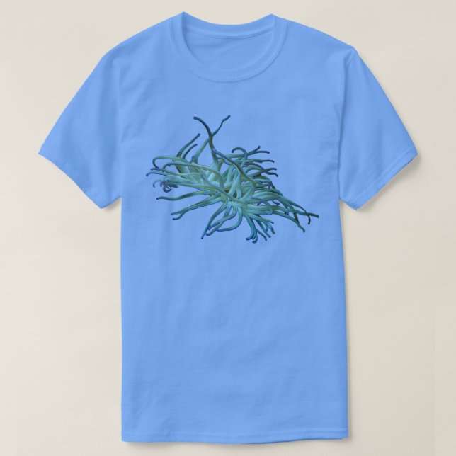 Camiseta Anemone 4 (Diseño del anverso)