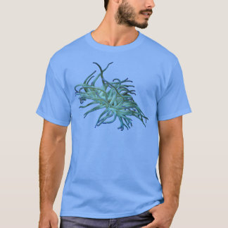 Camiseta Anemone 4