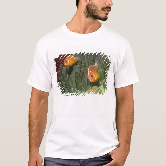 Camiseta Anemonefish rosado en anémona de mar de (Anverso)