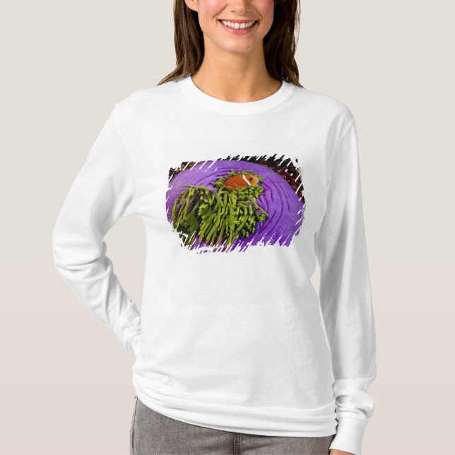 Camiseta Anemonefish y anémona grande (Anverso)