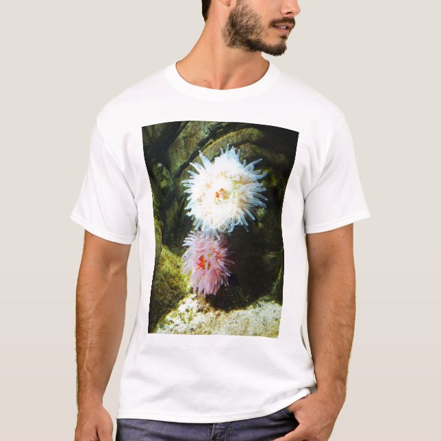 Camiseta Anémones marinos (Anverso)
