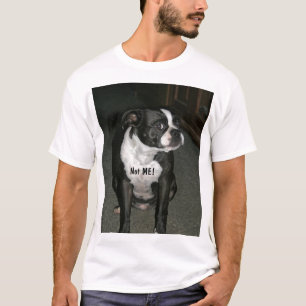 Camiseta Ángel del Innocent de Boston Terrier
