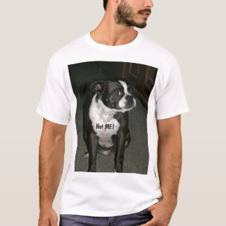 Camiseta Ángel del Innocent de Boston Terrier