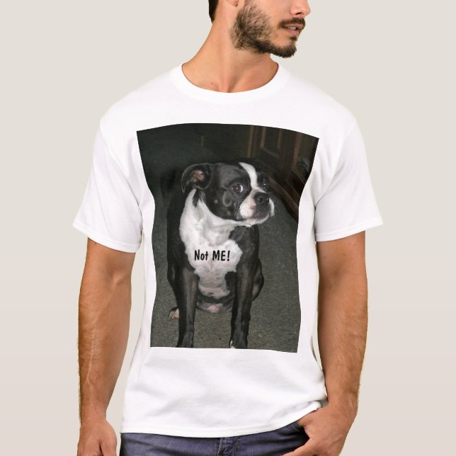 Camiseta Ángel del Innocent de Boston Terrier (Anverso)
