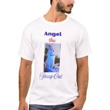 Angel el gato descarado