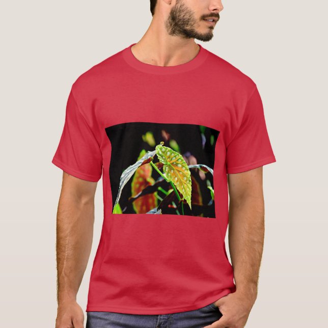 Camiseta Angel Wing Begonia Botanical (Anverso)