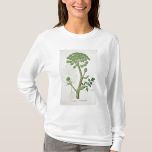 Camiseta Angélica Archangelica de 'Phytographie Medicale