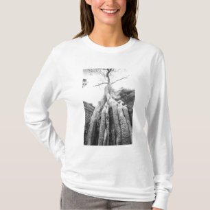 Camiseta Angkor Camboya, Árbol Ta Prohm