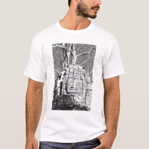 Camiseta Angkor Camboya, Cabeza Ta Som Templo