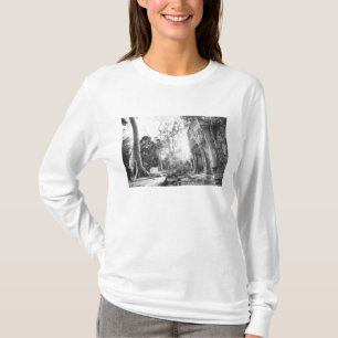 Camiseta Angkor Camboya, detalles Ta Prohm