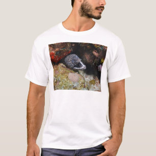 Camiseta Anguila acogedora
