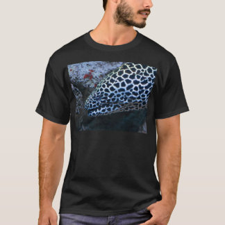 Camiseta Anguila de Moray