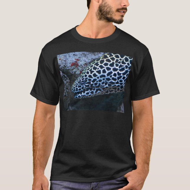 Camiseta Anguila de Moray (Anverso)