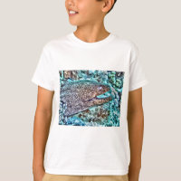 Anguila de Moray