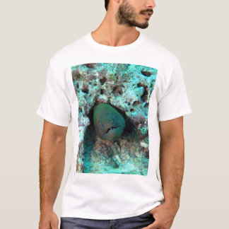 Camiseta Anguila de Moray en Fiji