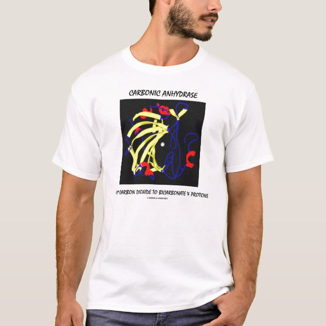 Camiseta Anhidrasa carbónica (enzima de la bioquímica) (Anverso)