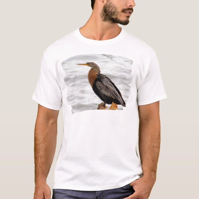 Camiseta Anhinga On The Lookout (Anverso)
