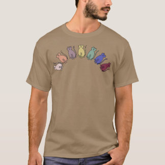 Camiseta Animales arcoiris de gatos equilibrados