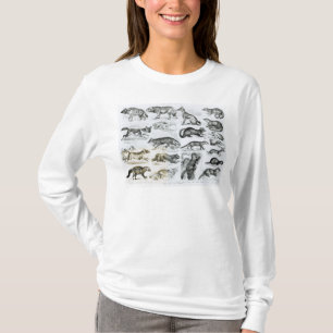 Camiseta Animales carnívoros
