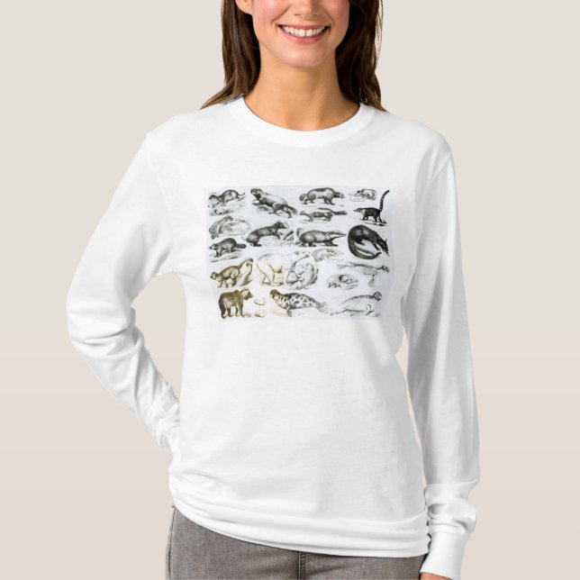 Camiseta Animales carnívoros (Anverso)