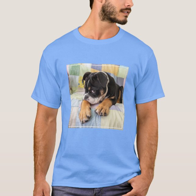 Camiseta Animales de bebé más afectados | Antiguo y tímido  (Anverso)