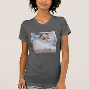 Camiseta Animales de bebé más afectados Calico Persian Ki