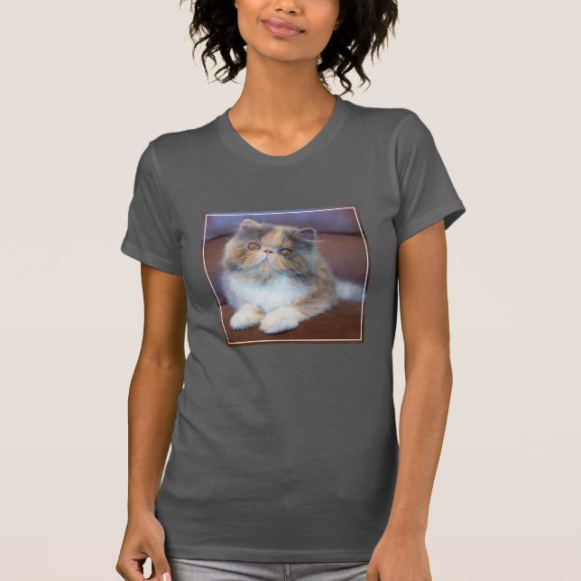 Camiseta Animales de bebé más afectados | Calico Persian Ki (Anverso)