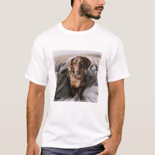 Camiseta Animales de bebé más afectados   Chocolate Dachshu