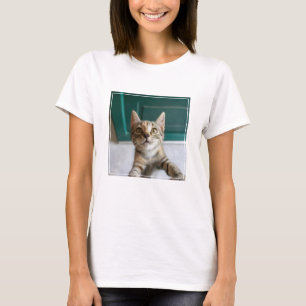 Camiseta Animales de bebé más afectados Gatita Cuta Tabby